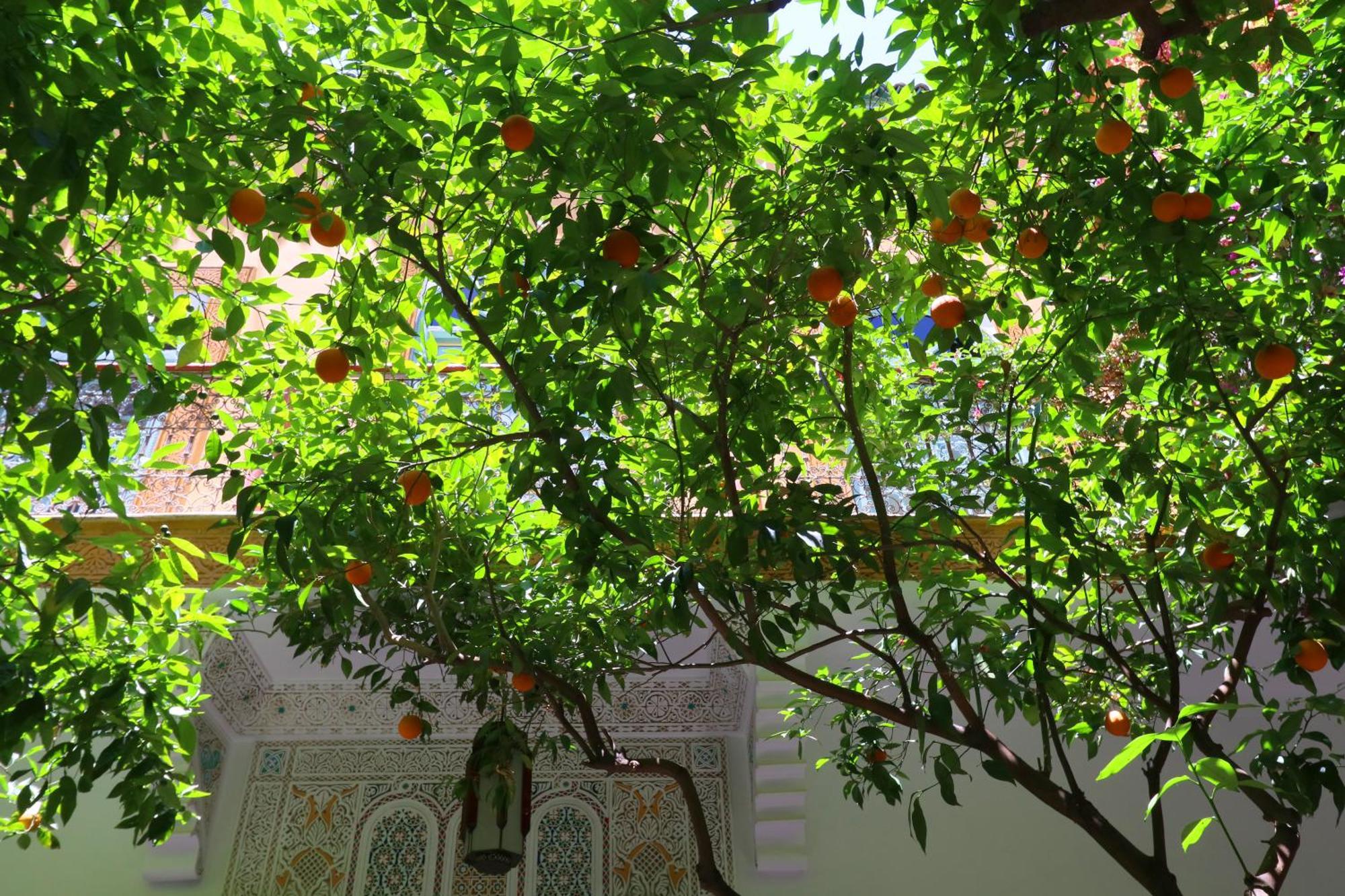 Ryad El Borj Acomodação com café da manhã Marraquexe Exterior foto